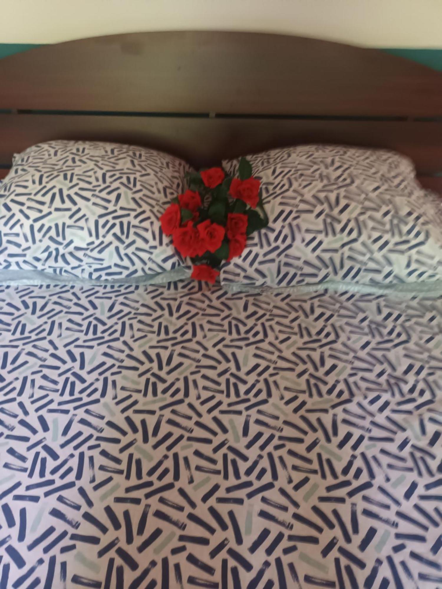 Lovely Flowers In Mount Lavinia Dehiwala-Mount Lavinia Eksteriør bilde