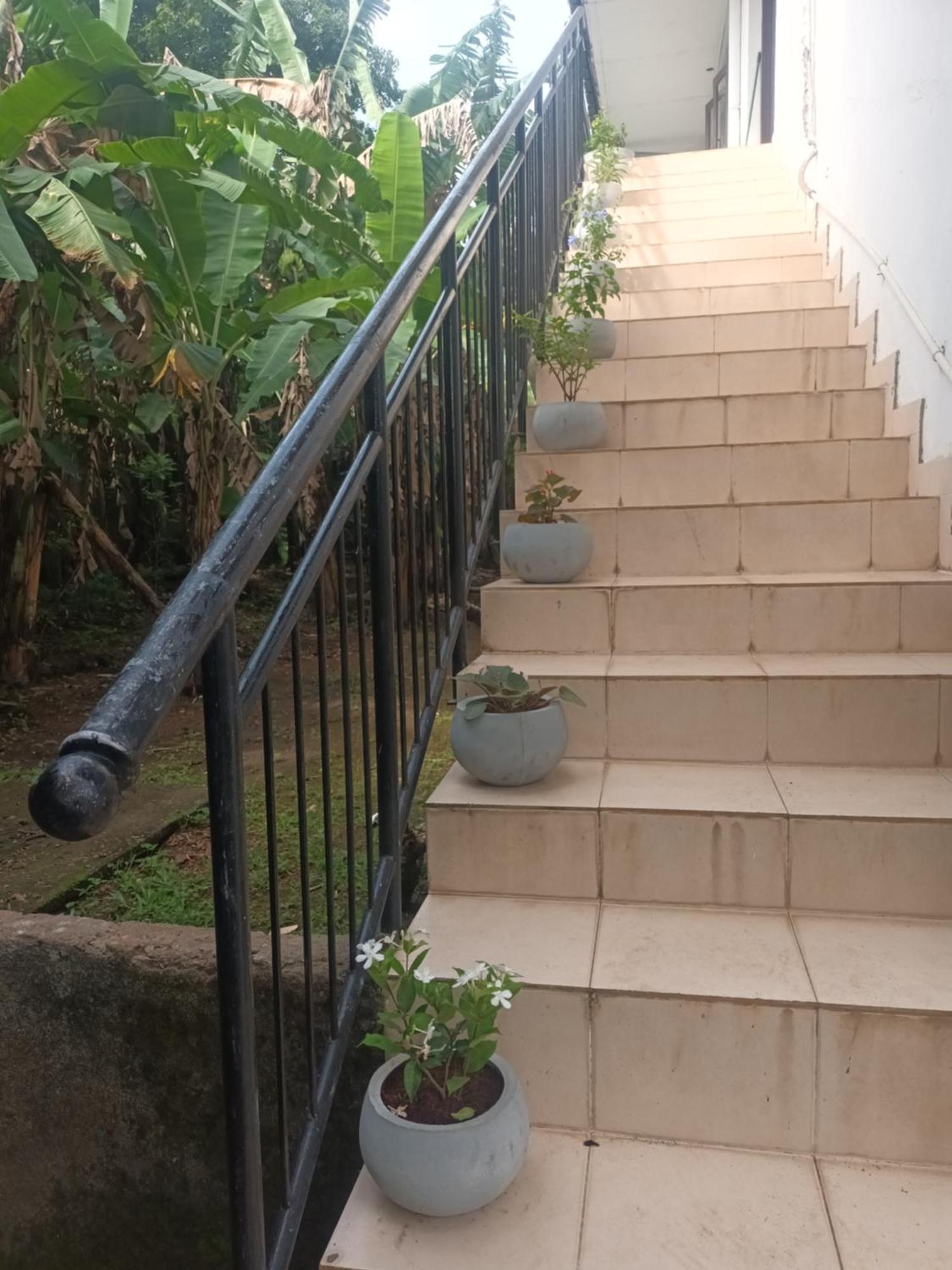 Lovely Flowers In Mount Lavinia Dehiwala-Mount Lavinia Eksteriør bilde